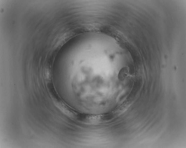 X0000074030084200609111725