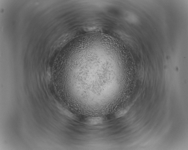 X0000074030085200609111725