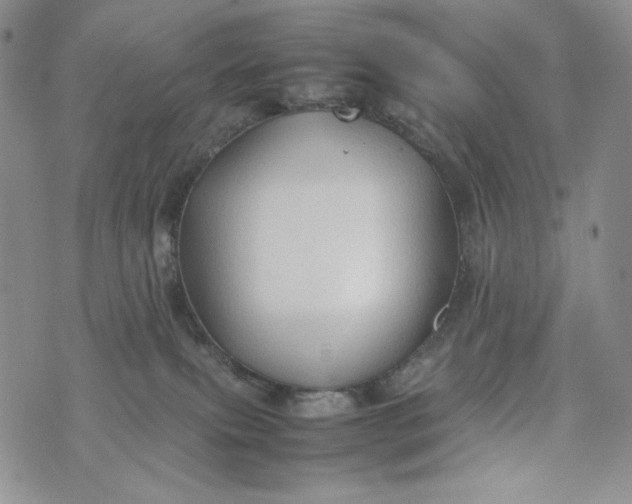 X0000074030087200609111725