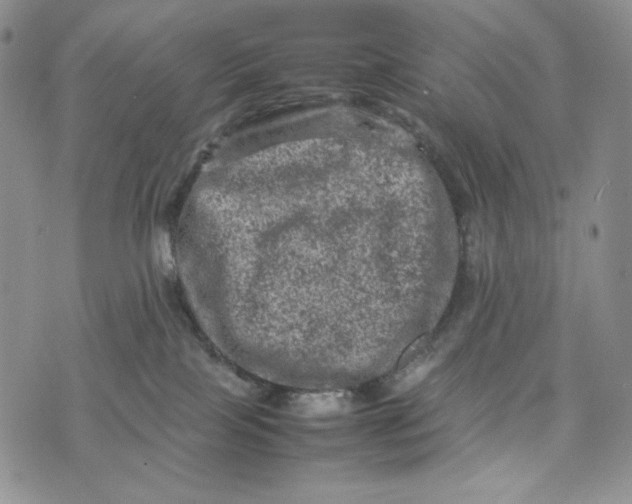 X0000074030089200609111725