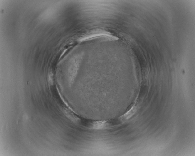 X0000074030090200609111725