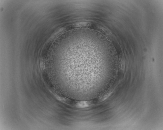 X0000074030091200609111725