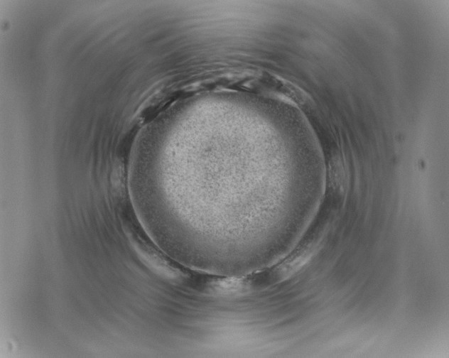 X0000074030092200609111725