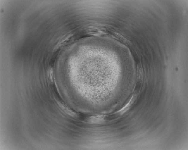 X0000074030094200609111725