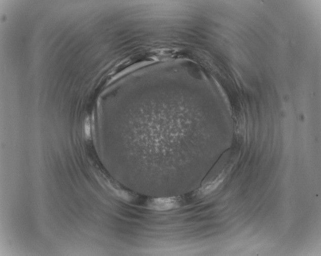 X0000074030095200609111725