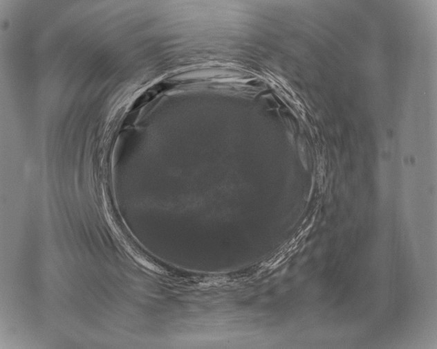 X0000074030097200609111724