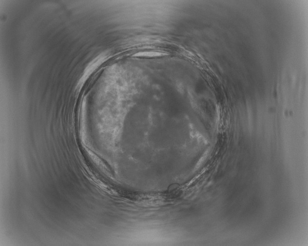 X0000074030099200609111724