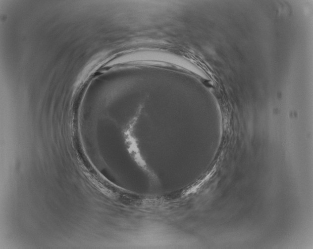 X0000074030101200609111724