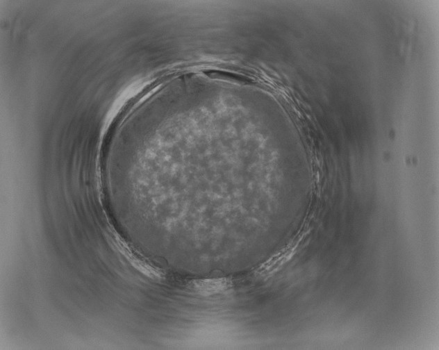 X0000074030102200609111724