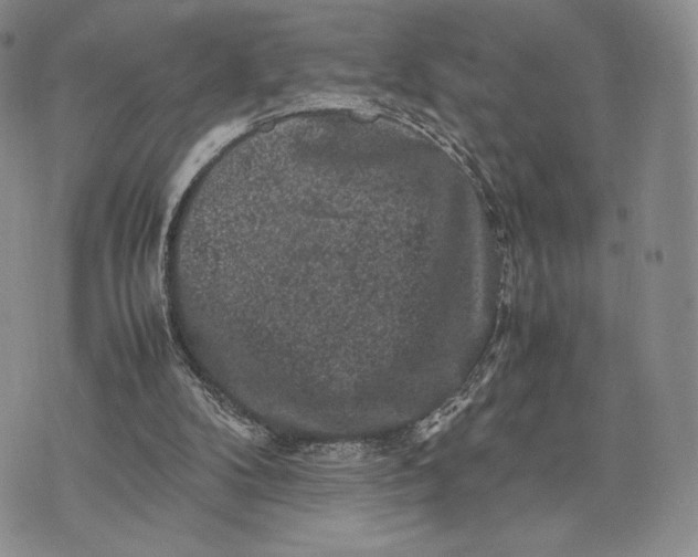 X0000074030104200609111724