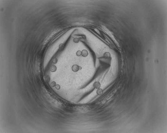 X0000074030106200609111724