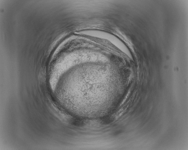 X0000074030107200609111724