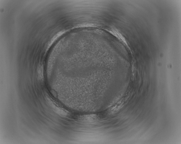 X0000074030108200609111724