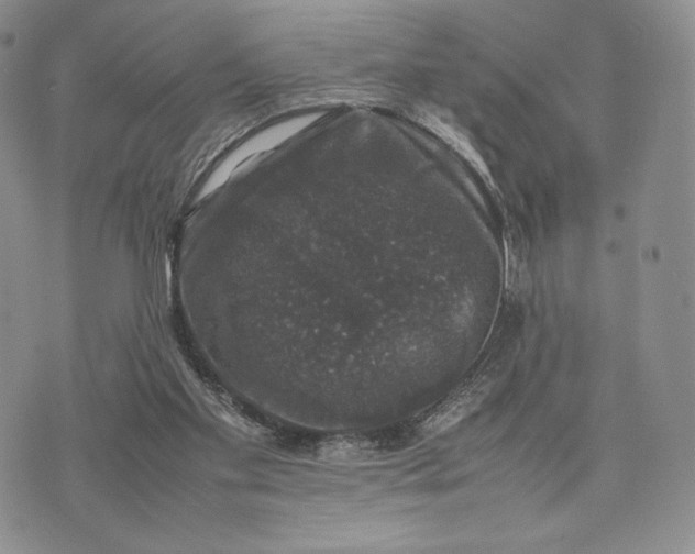 X0000074030109200609111724