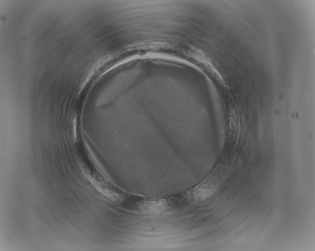 X0000074030110200609111724