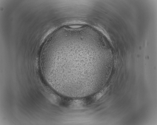 X0000074030111200609111724