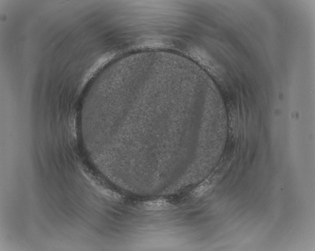 X0000074030112200609111724