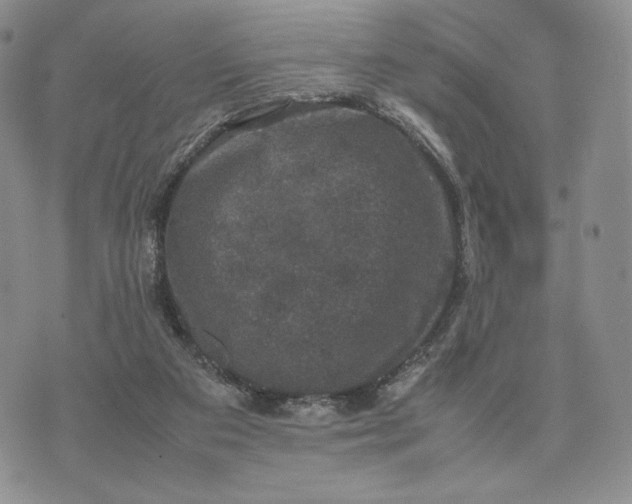 X0000074030113200609111724