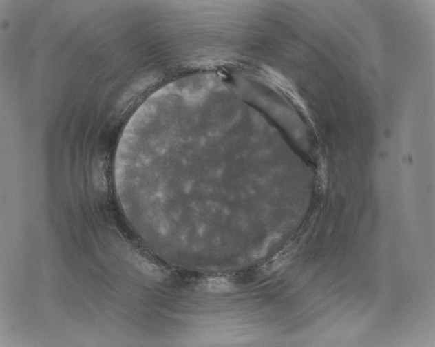 X0000074030114200609111724