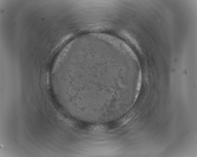 X0000074030115200609111724