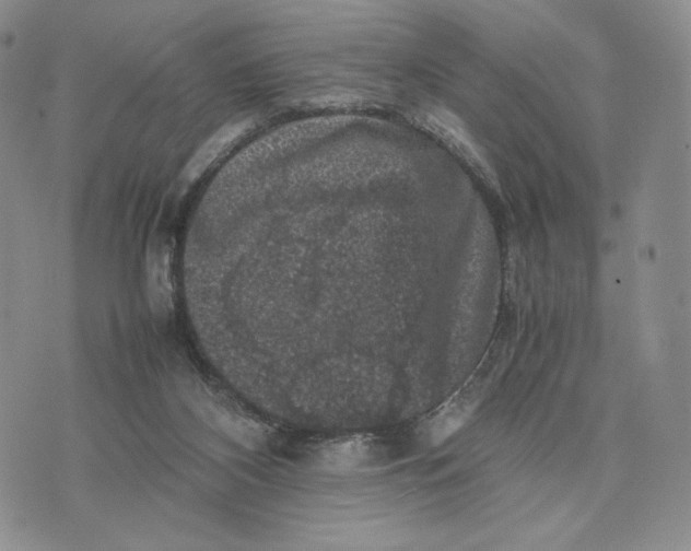 X0000074030116200609111724