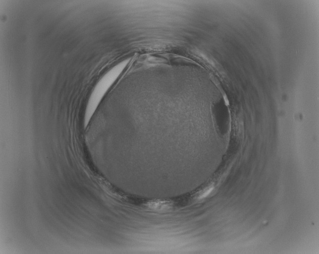 X0000074030117200609111724