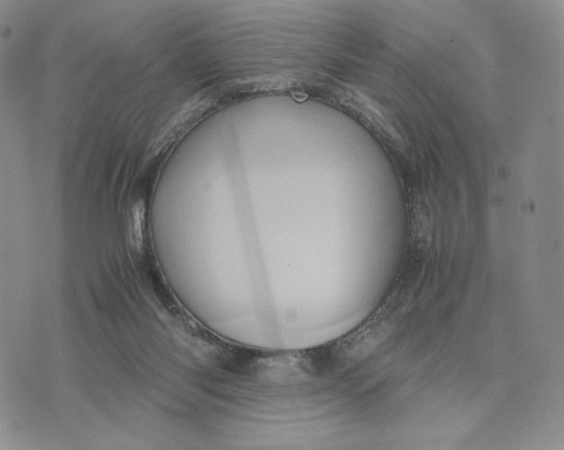 X0000074030118200609111724