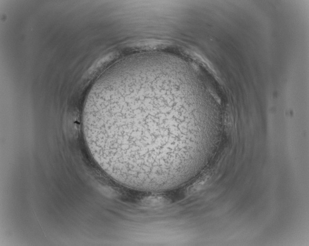 X0000074030119200609111724