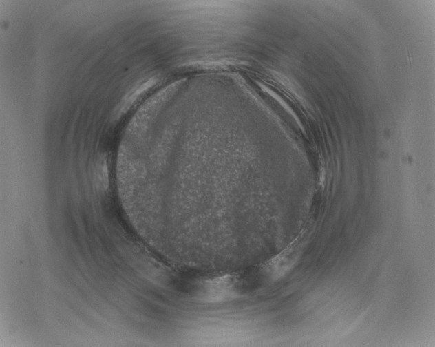 X0000074030120200609111724