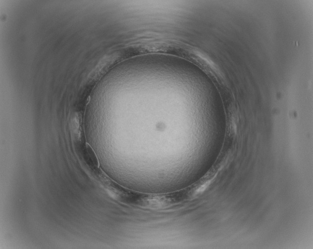 X0000074030121200609111724