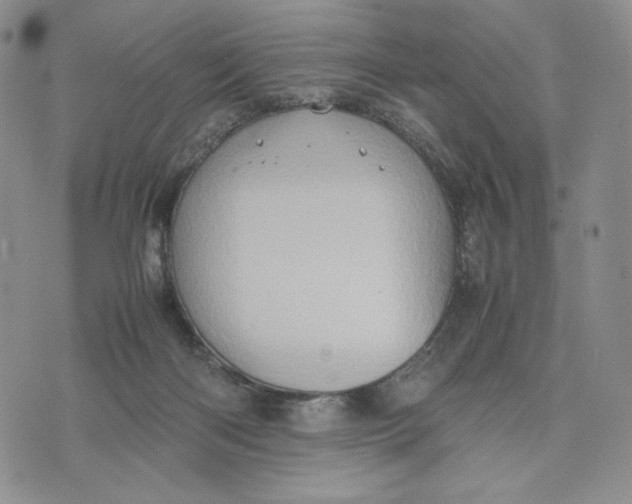 X0000074030122200609111724