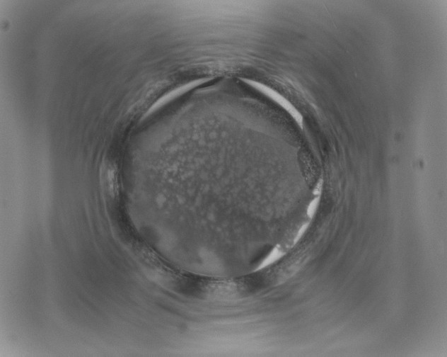 X0000074030123200609111724