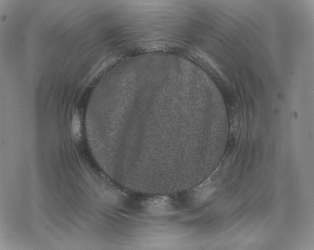 X0000074030124200609111724