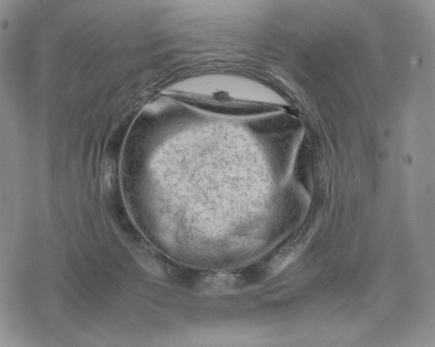 X0000074030125200609111723