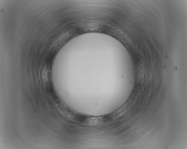 X0000074030126200609111723