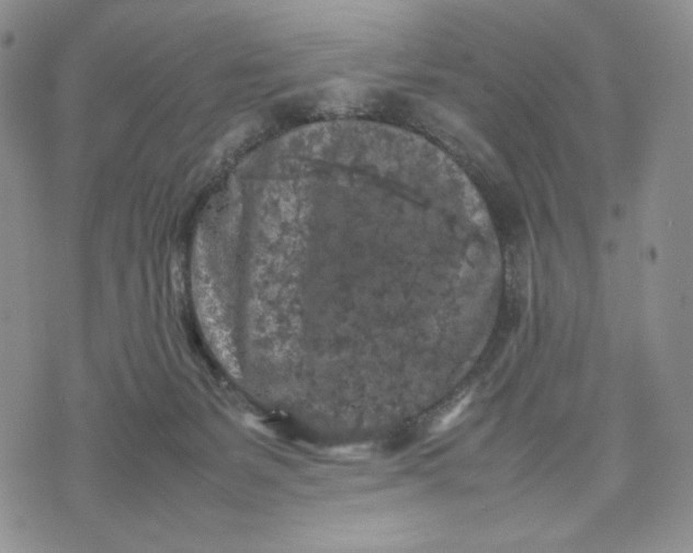 X0000074030127200609111723