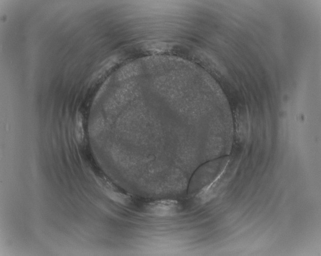 X0000074030128200609111723