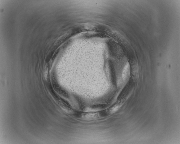 X0000074030129200609111723