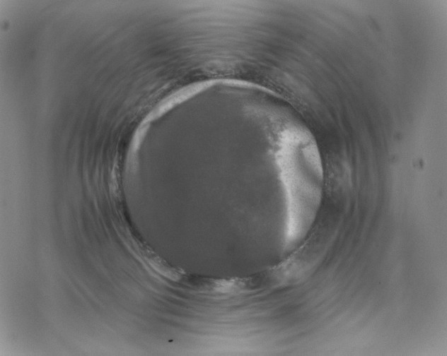 X0000074030130200609111723