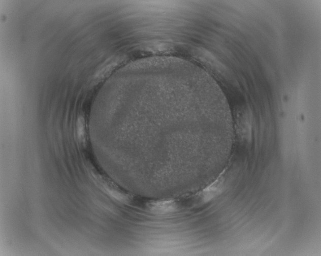 X0000074030132200609111723