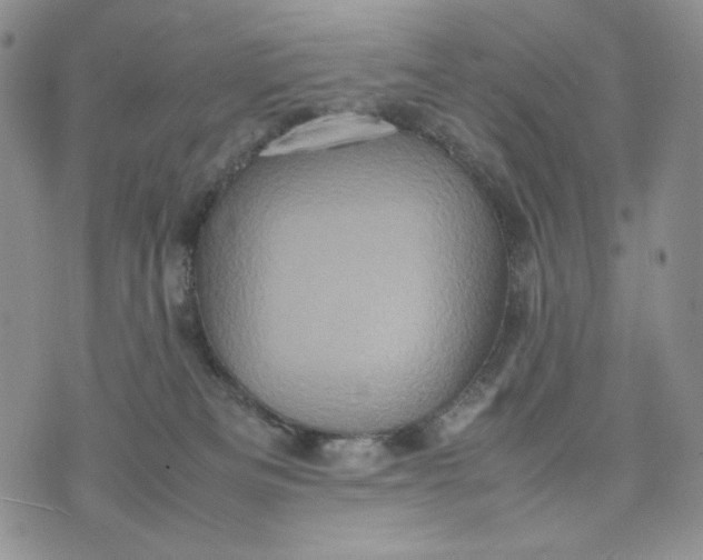 X0000074030133200609111723