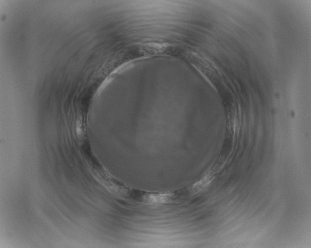 X0000074030134200609111723