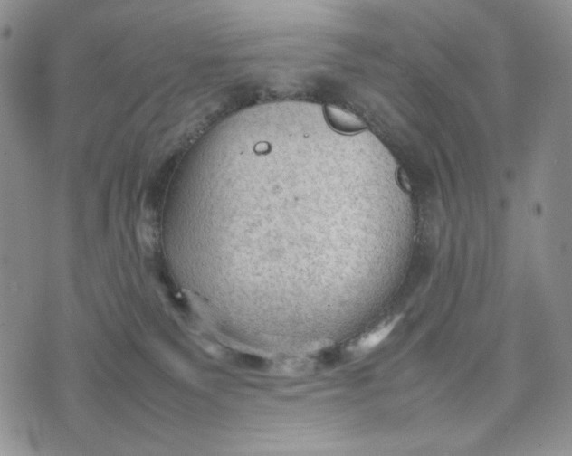 X0000074030135200609111723