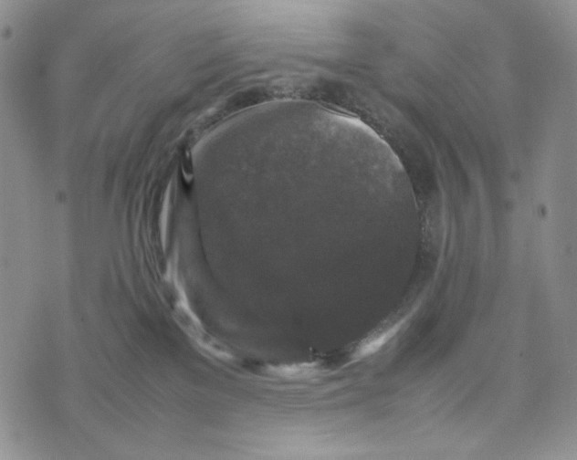 X0000074030137200609111723