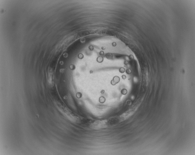 X0000074030138200609111723