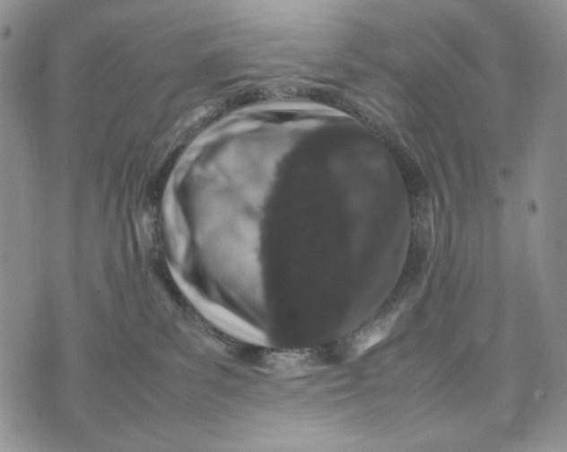 X0000074030139200609111723