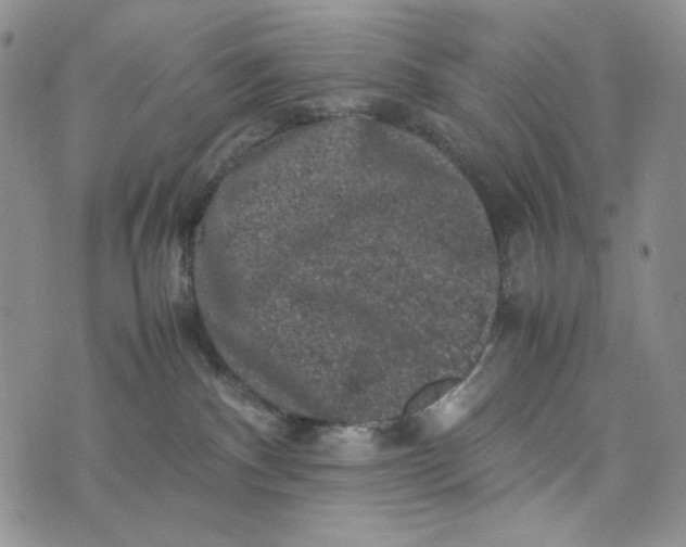 X0000074030140200609111723