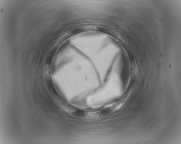 X0000074030141200609111723