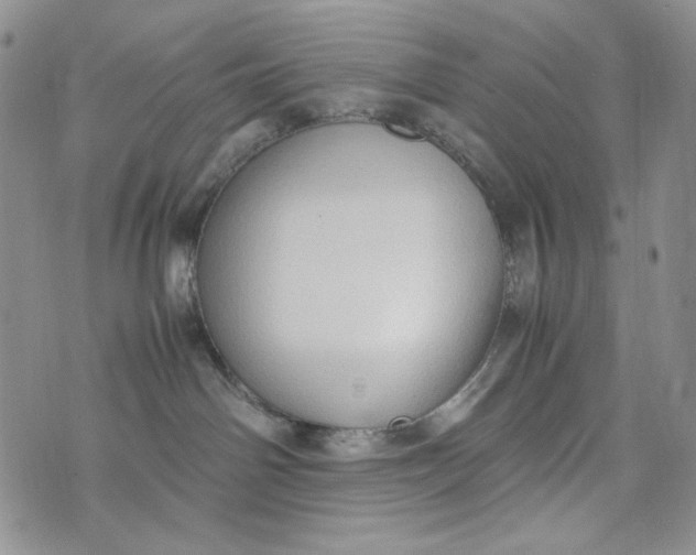 X0000074030142200609111723