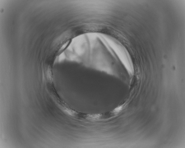 X0000074030143200609111723